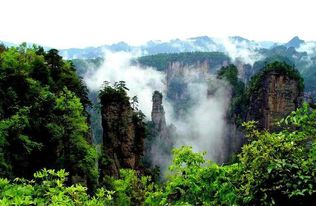 張家界自駕游,自助游,跟團姿勢,張家界單請導游