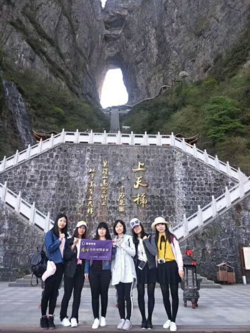 張家界大峽谷不在森林公園里嗎 玻璃棧道和玻璃橋是一個地方嗎