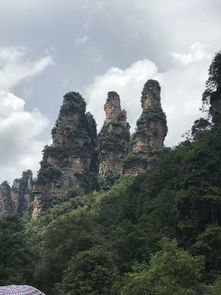 去張家界旅游找評價不錯的正規美女導游服務
