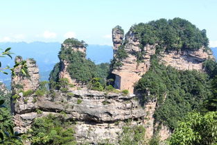 張家界小包團自由行 口碑好導游 游客朋友們