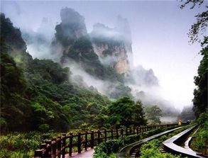 金鞭溪和十里畫廊景點介紹 張家界導游服務推薦