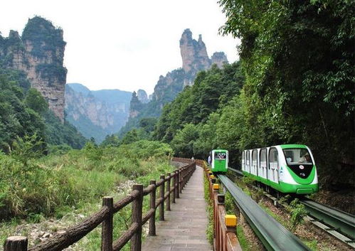 想去張家界怎么問導游 今日頭條