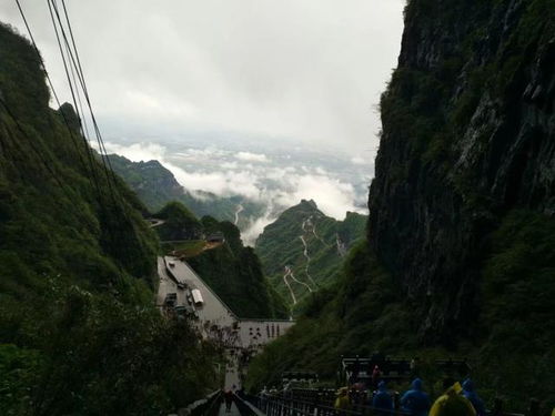 張家界美女導游 超級耐看細心型導游,值得收藏啦啦