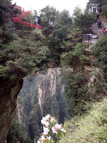 張家界自由行攻略 自由行精品游玩線路