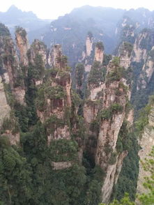 詩情畫意 醉美張家界