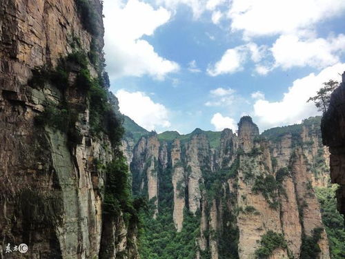 張家界導游阿妹為您提個醒,去張家界旅游跟團注意事項