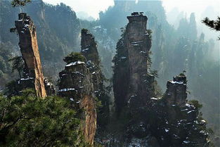 17年 請張家界靠譜導游 家庭私人導游,接地氣