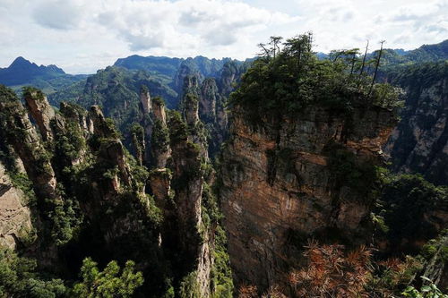 張家界旅游攻略 2018張家界導游電話 鳳凰古城導游大全