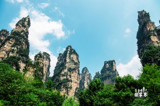 張家界自助游,導游讓你花更少的錢,暢游張家界