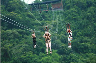 張家界23年當地導游推薦,張家界 鳳凰精品攻略