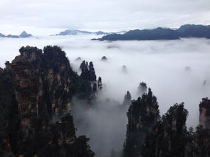 去張家界怎么找一個私人導游陪同 求導游電話