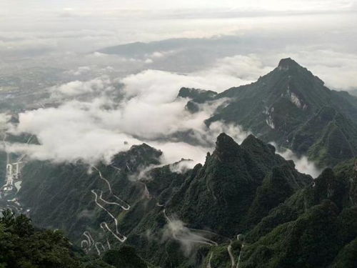 張家界玻璃橋導游 一睹玻璃橋風情張家界