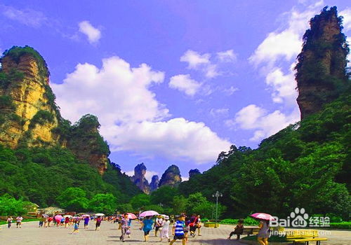 張家界自助游導游 旅游導游預訂