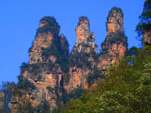 張家界導游電話,全程陪同服務 純玩 開心