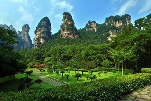 去張家界找導游, 導游靠不靠譜 有什么保障 求推薦