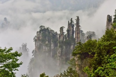 “國際張”定了個小目標:世界一流!