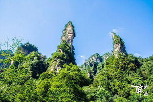 來張家界請當地導游 純玩 不購物 不進店 導游風采