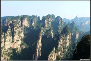 福建去張家界遇到口碑好導游,怪不得都選擇他的理由 淳樸