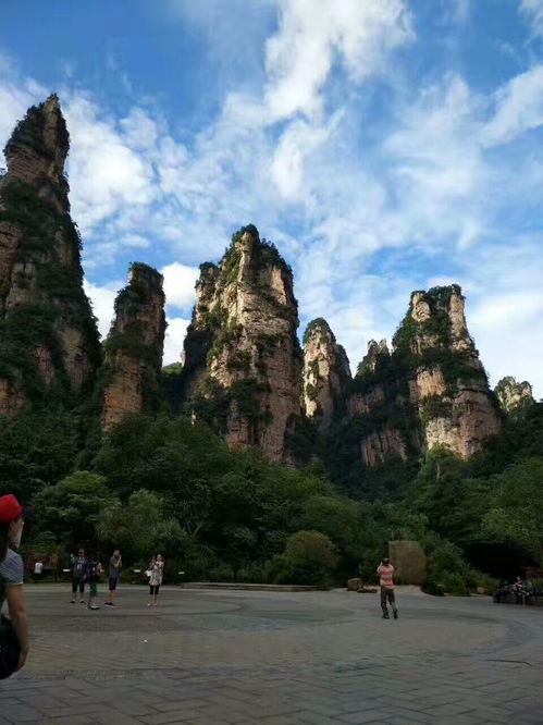 張家界旅游,安排純玩線路,考慮口碑好的導游