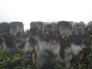 張家界比較好的導游提供 純玩旅游 無購物