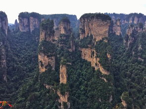 張家界美女導游提供,詳細攻略,看看有幫助啦