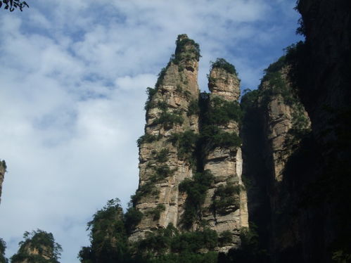 請張家界導游,首選張家界陳峰自助游俱樂部 旅游