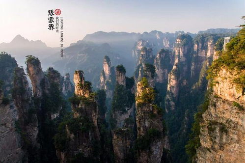 張家界旅游如何找到靠譜導游？詳細指南與實用建議