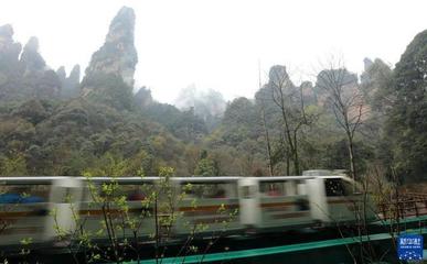 湖南張家界 春季旅游市場持續升溫 張家界導游團隊全力備戰