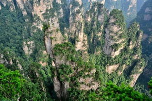 張家界當地導游 靠譜、用心、實在、優秀的旅行伙伴