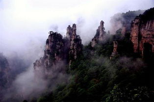 2017張家界自由行導游對驢友的真情忠告