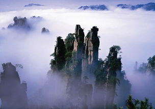 張家界自助游最新最全面攻略 當地導游陳晨的專業推薦