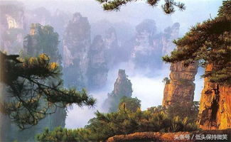 2017張家界旅游攻略 美女導(dǎo)游親述，帶你玩轉(zhuǎn)張家界