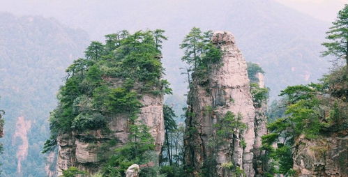 張家界自助游導游 鳳凰古城四日經(jīng)典攻略