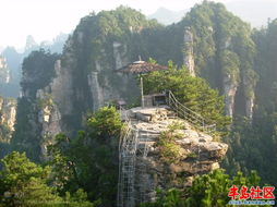 張家界導游評說 自助游與參團游的利弊對比